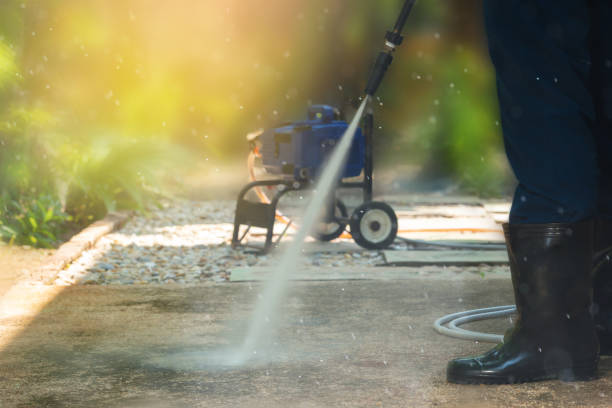 Animal Enclosure Cleaning in Buckhannon, WV
